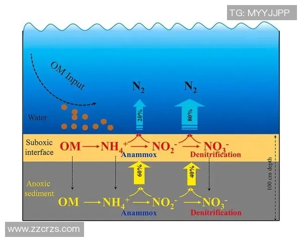 广州篮球队灵活性分析：战术调整与球员适应能力的深度探讨